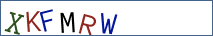 Type the letters shown in the picture